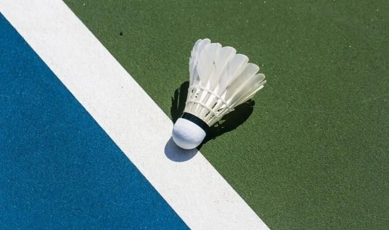 cầu lông tại BK8