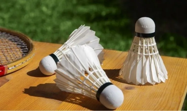 Cần tìm hiểu về bộ môn cầu lông trước khi tham gia cá cược