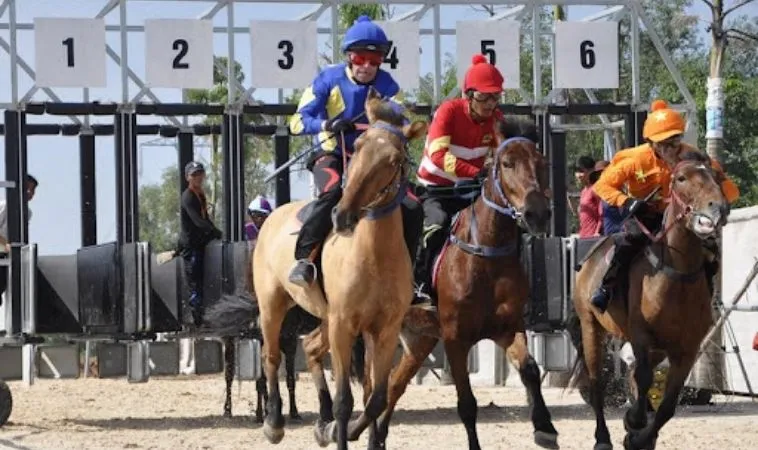 Cần tìm hiểu về bộ môn đua ngựa BK8 trước khi cá cược