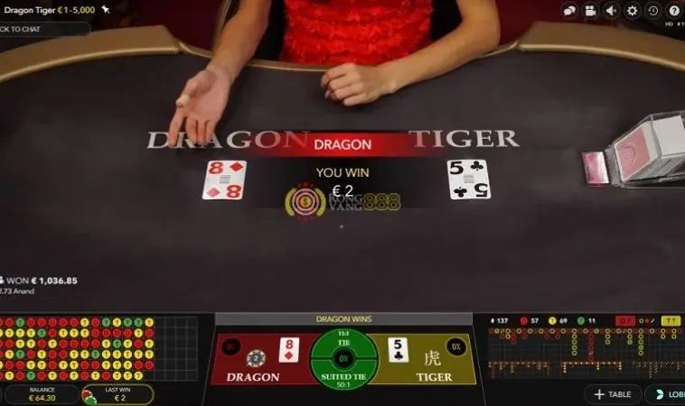 Các cửa cược trong Dragon Tiger tại BK8